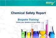 REACHReady Events entry headers - Bespoke training2
