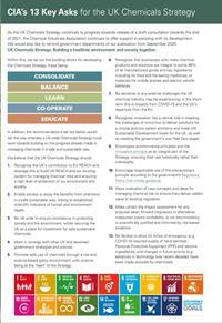 13 Key Asks for the UK Chemicals Strategy 1
