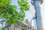 green industry