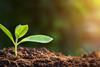 AdobeStock_276327214 (1)