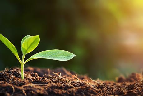 AdobeStock_276327214 (1)