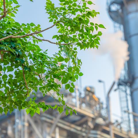 green industry
