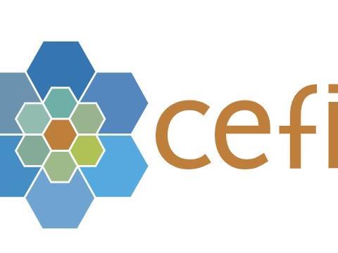 cefic logo