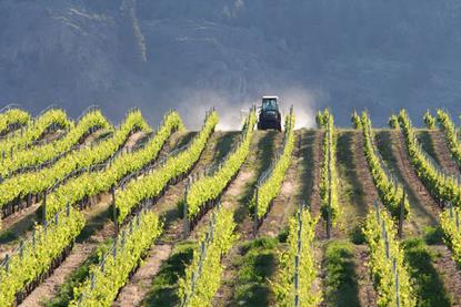 Vineyard_Tractor_Okanagan