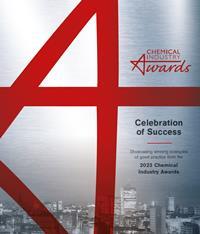 Celebration of success image