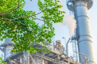 green industry