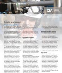 Safety and Security ps image