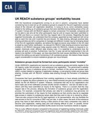 UK REACH substance groups' workability issues