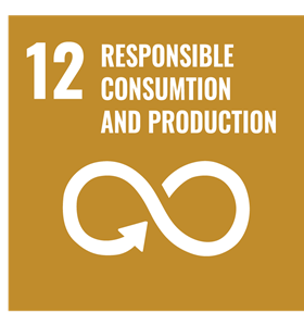 SDG12